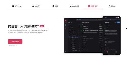国产a网站,探索创新与发展的中国互联网新篇章