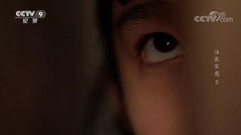 国产重口味视频,揭秘刺激感官的视觉盛宴