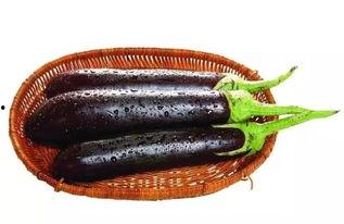 茄子精产国产品入口高清,高清解析市场格局与趋势