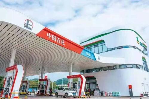 国产资源站,汇聚海量优质资源,助力创新发展