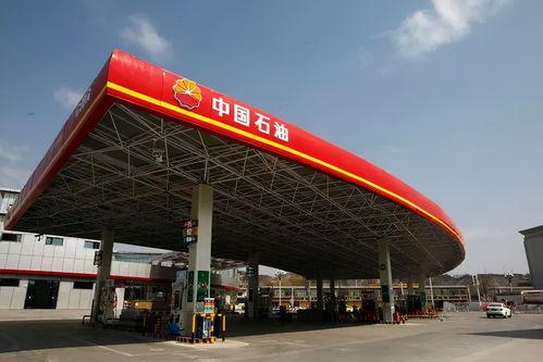 国产资源站,汇聚海量优质资源,助力创新发展